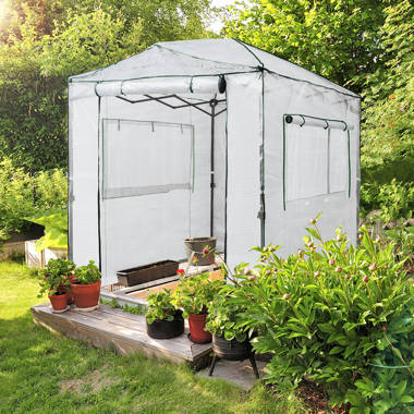 EAGLE PEAK Pop Up Greenhouses 10' x 10' Pop-Up Hobby Greenhouse